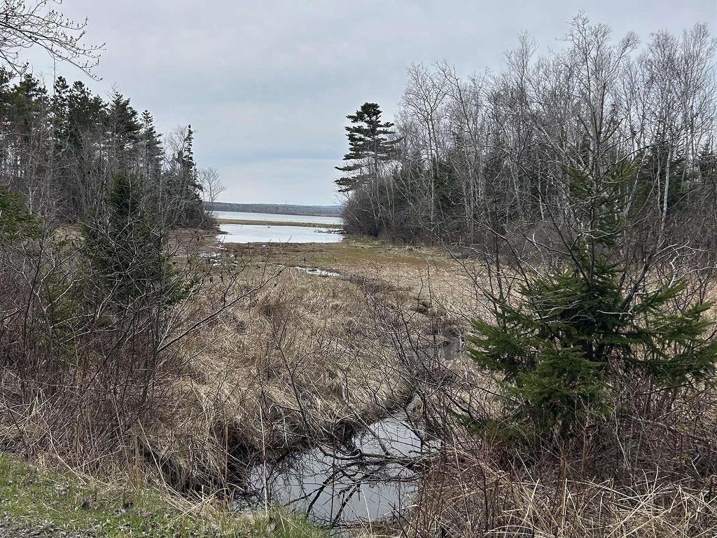 












Lot Kenneth Point Road

,
Caribou Island,







NS
B0K 1H0

