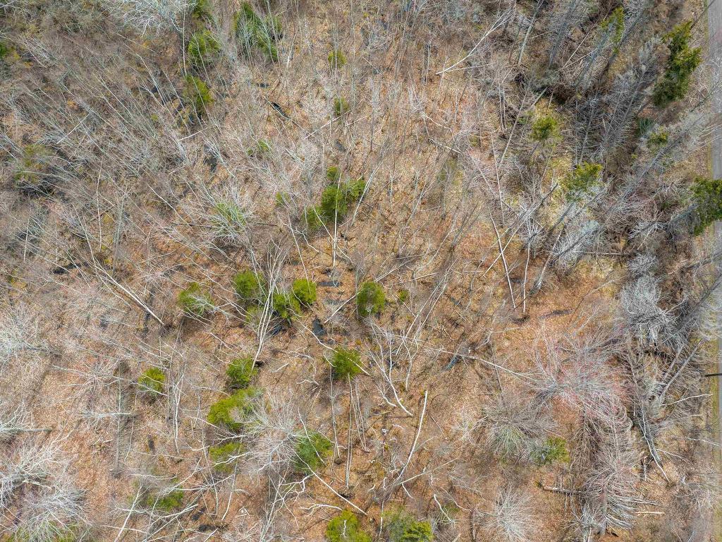 












Lot Kenneth Point Road

,
Caribou Island,







NS
B0K 1H0

