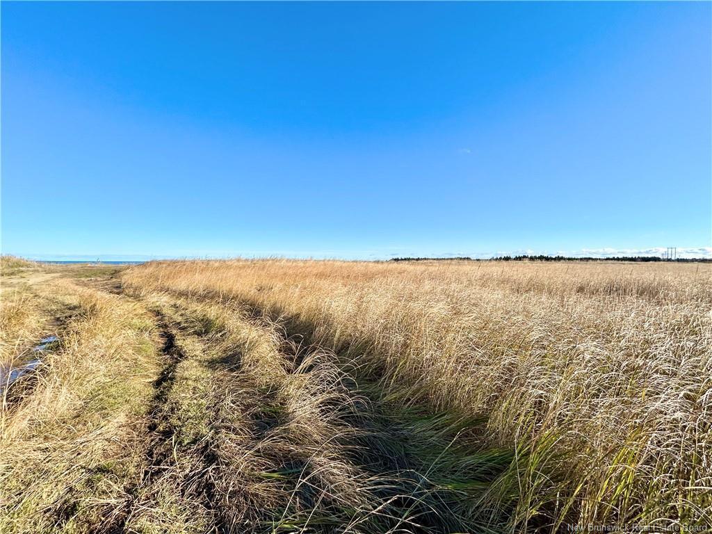 









Lot


St-Paul

ST,
Bas-Caraquet,







NB
E1W 6C7

