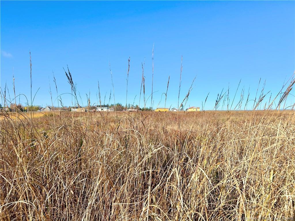 









Lot


St-Paul

ST,
Bas-Caraquet,







NB
E1W 6C7


