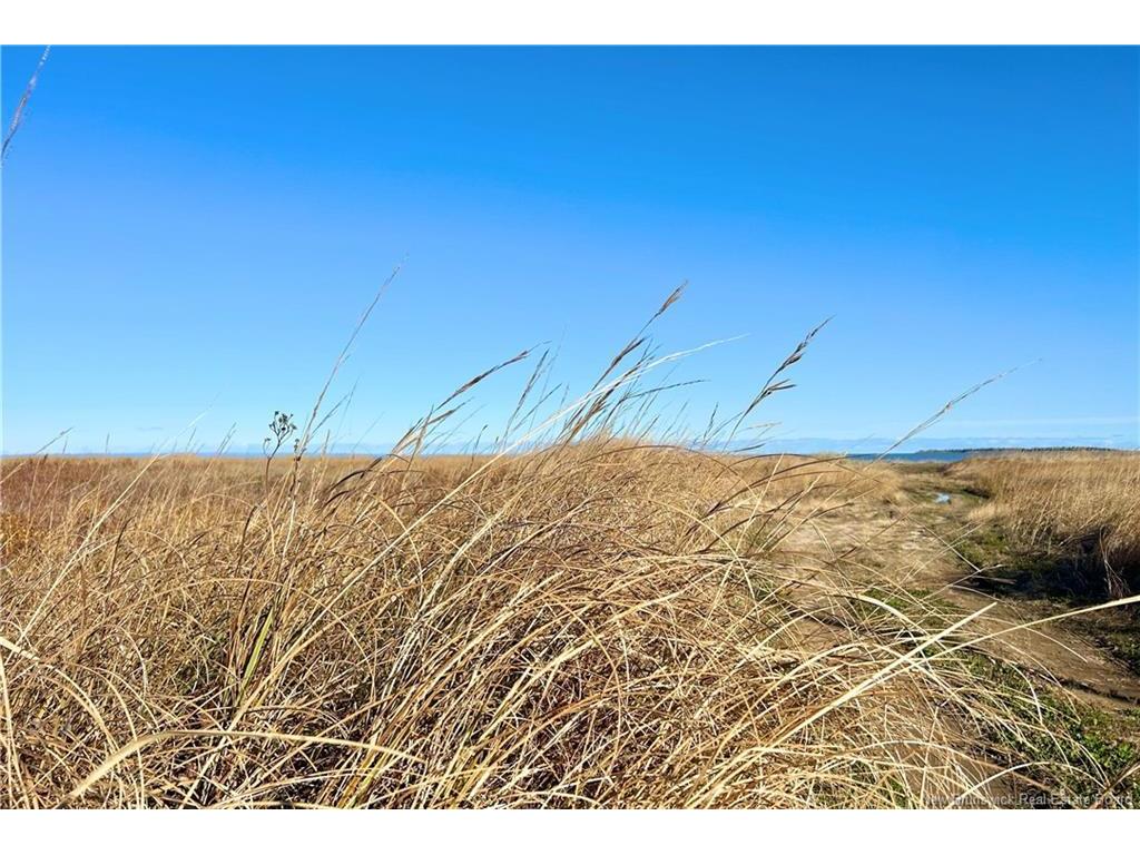 









Lot


St-Paul

ST,
Bas-Caraquet,







NB
E1W 6C7


