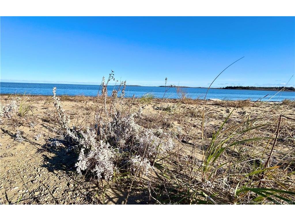 









Lot


St-Paul

ST,
Bas-Caraquet,







NB
E1W 6C7

