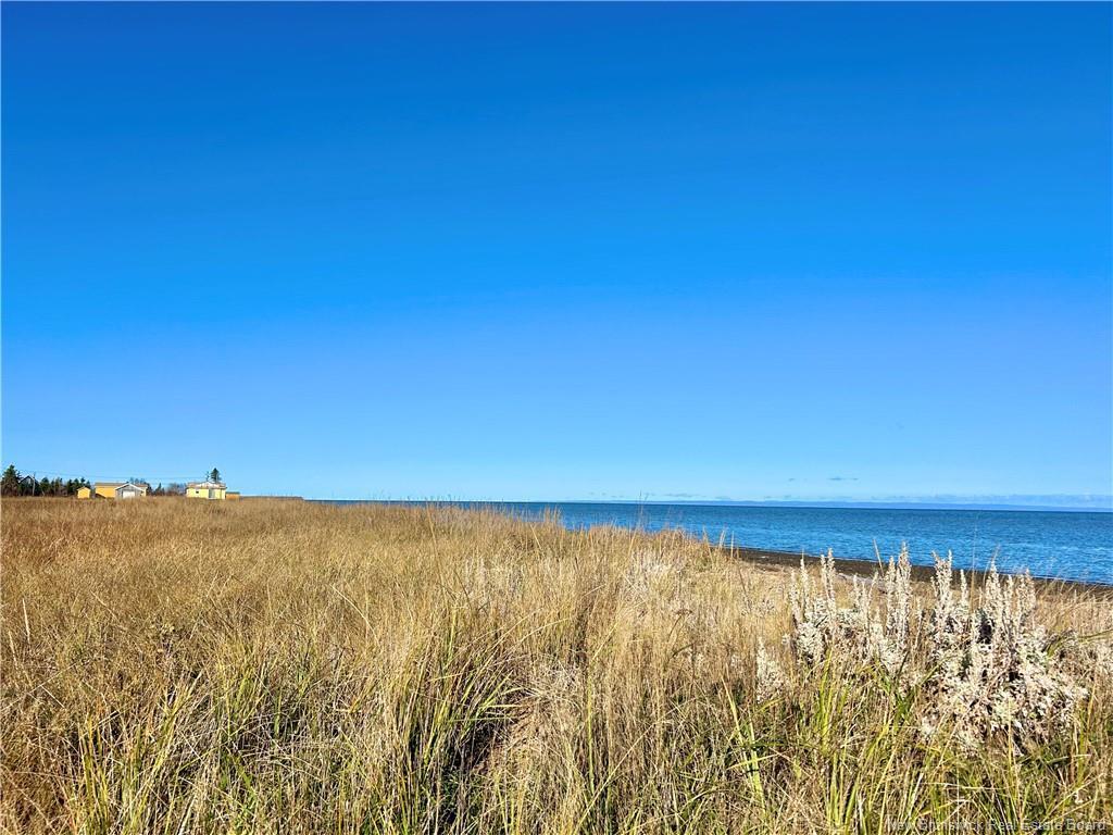 









Lot


St-Paul

ST,
Bas-Caraquet,







NB
E1W 6C7

