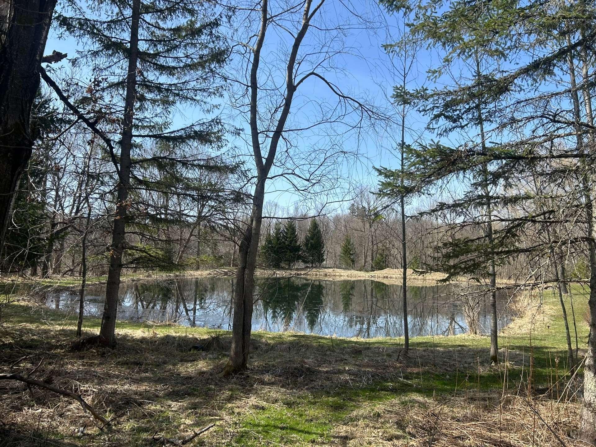 









65


Rue Victoria

,
Lac-Brome,




QC
J0E1V0

