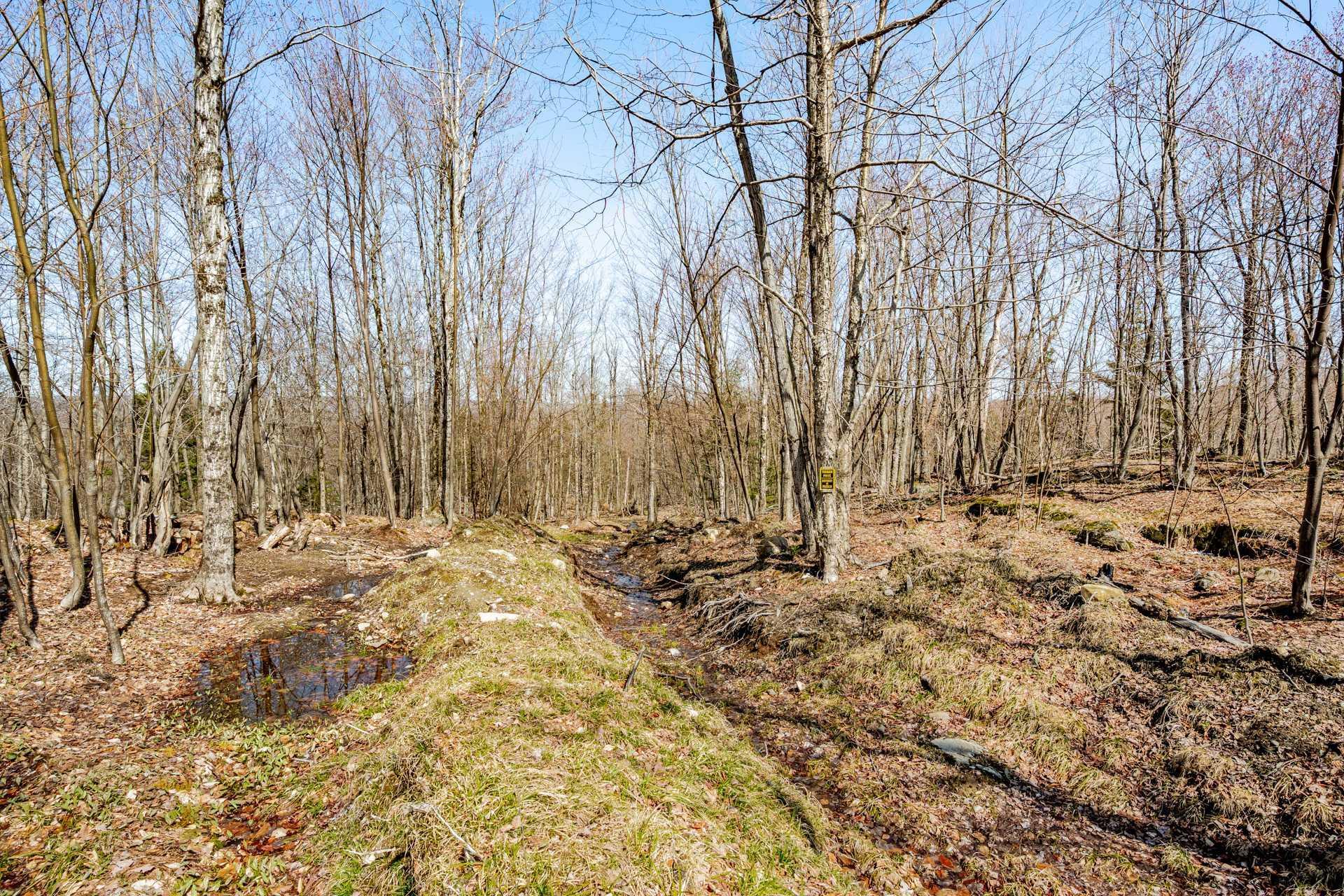 












Rue de la Samare

,
Eastman,







QC
J0E1P0

