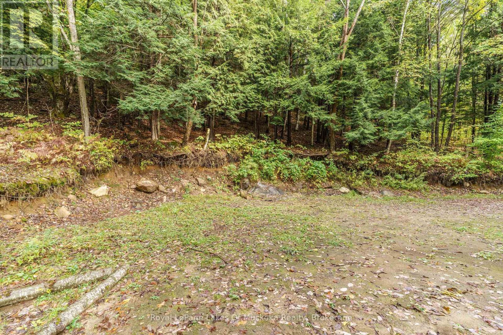












1059 LIVINGSTONE LAKE ROAD

,
Algonquin Highlands (Sherborne),







Ontario
P0A1E0

