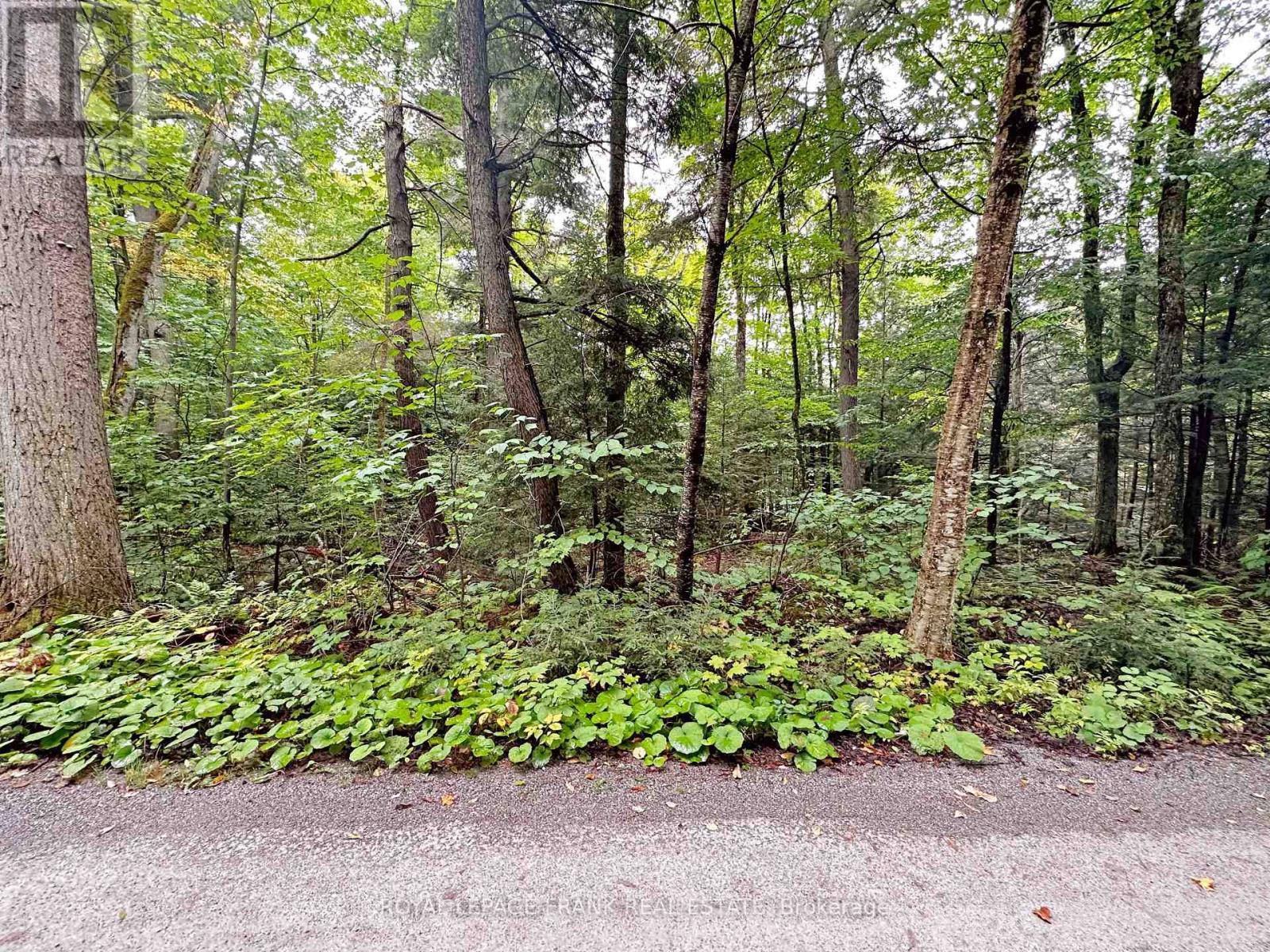 












0 FIRE ROUTE 267

,
Trent Lakes,







Ontario
K0L1J0

