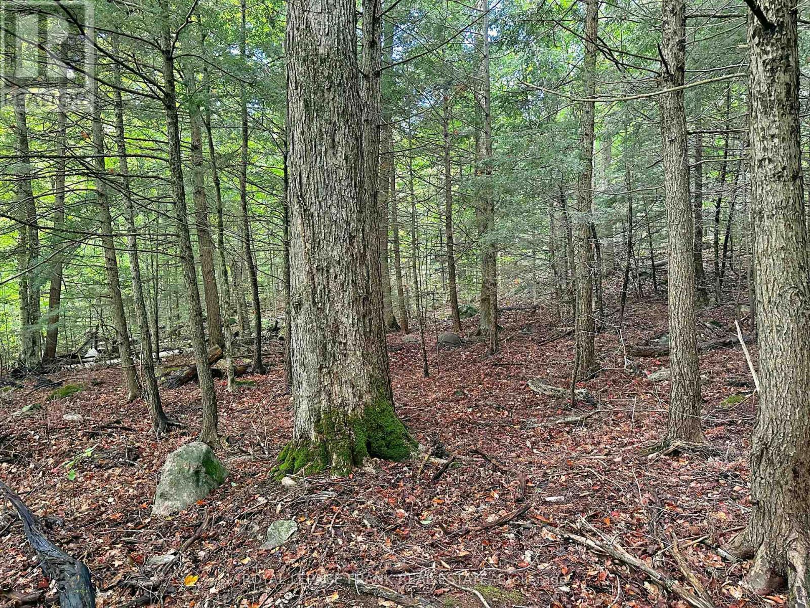 












0 FIRE ROUTE 267

,
Trent Lakes,







Ontario
K0L1J0

