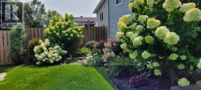 












531 MACY AVENUE

,
Laurentian Valley,




Ontario
K8A0A2

