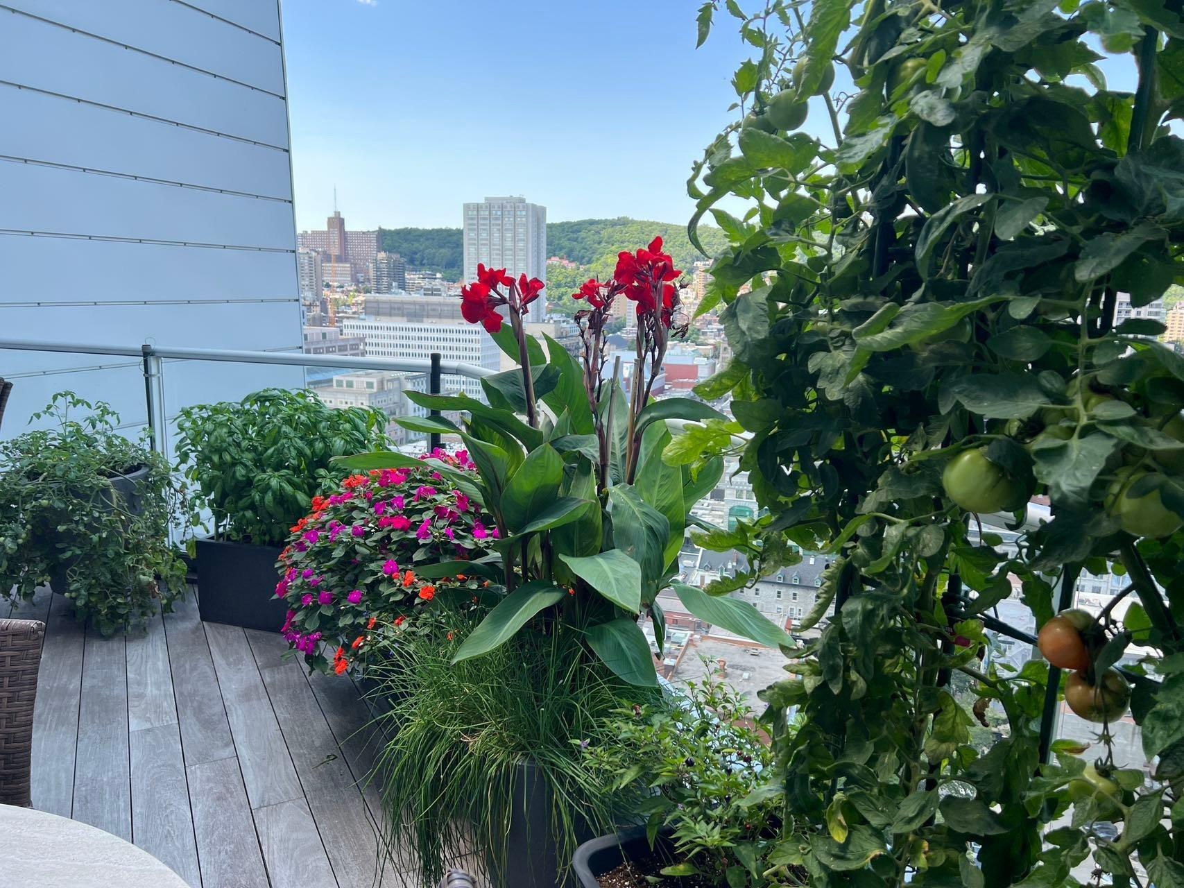 









1100


Rue de la Montagne

, 2601,
Montréal (Ville-Marie),




QC
H3G0A2

