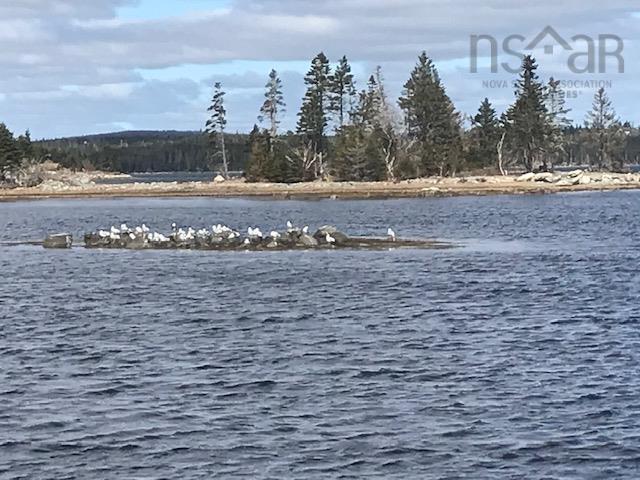 












103 Quoddy Drives

,
West Quoddy,







NS
B0H 1W0

