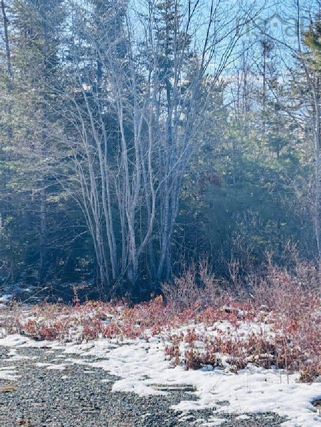 












Lot F2 Highway 331

,
Petite Rivière,







NS
B4V 5Z3

