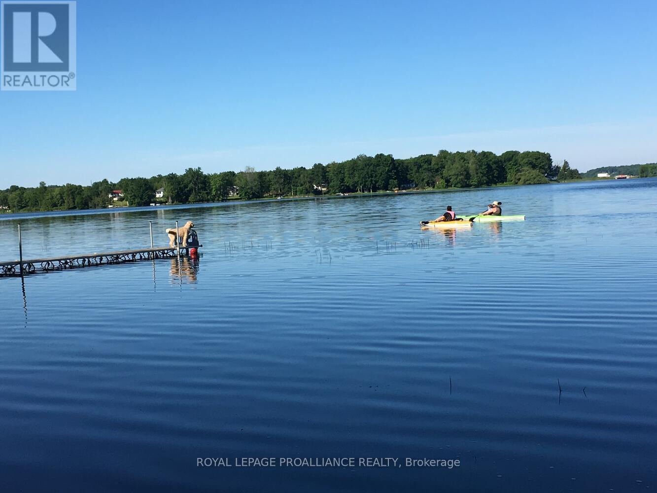 












365 MCNAMEE LANE

,
Rideau Lakes,




Ontario
K0G1V0

