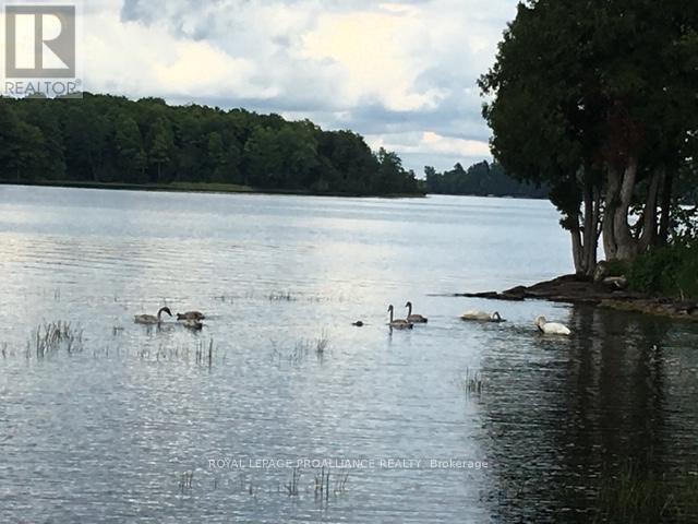 












365 MCNAMEE LANE

,
Rideau Lakes,




Ontario
K0G1V0

