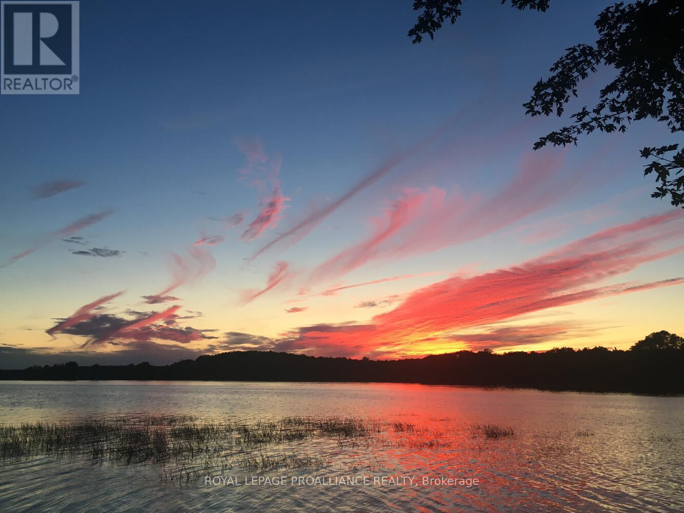 












365 MCNAMEE LANE

,
Rideau Lakes,




Ontario
K0G1V0

