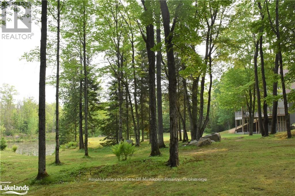 












2411 HWY. 118 E. HIGHWAY

,
Bracebridge (Draper),




Ontario
P1L1X1

