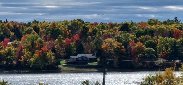 









56


Foster Point

LANE,
Cambridge-Narrows,




NB
E4C 4S3

