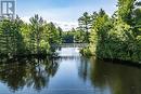 Bridge over channel to Bear Lake, deep water
