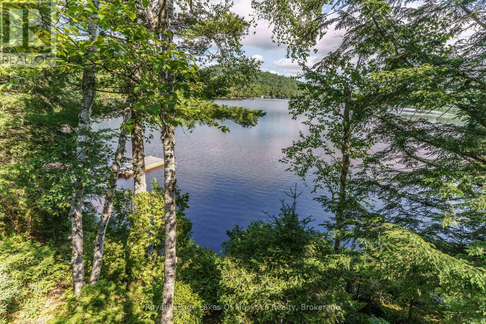 












2401 BEAR LAKE ROAD

,
Algonquin Highlands (Livingstone),




Ontario
P0A1E0

