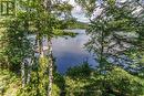 View down Bear Lake