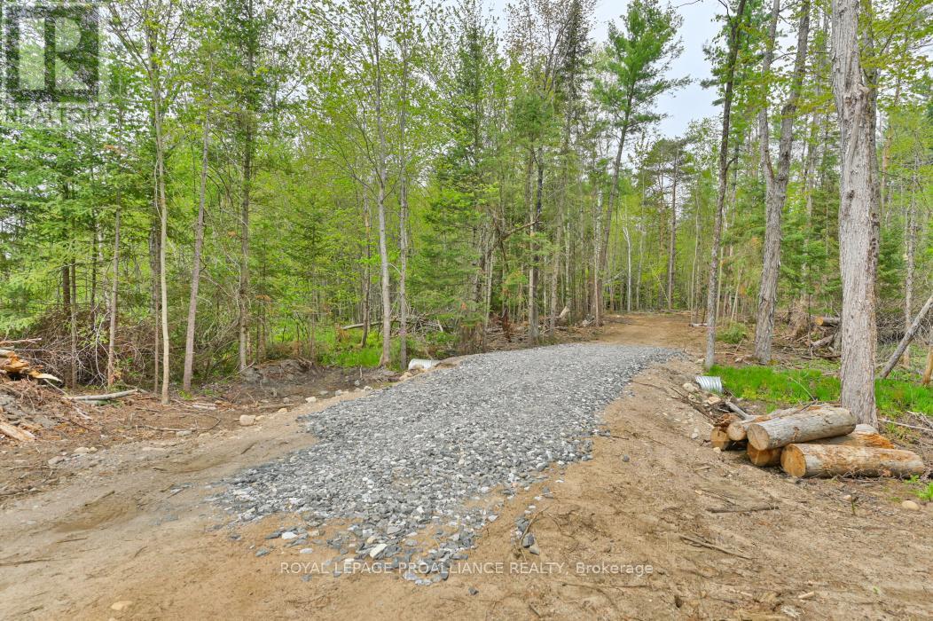 












1031 ROAD 506

,
Frontenac (Frontenac North),







Ontario
K0H1K0

