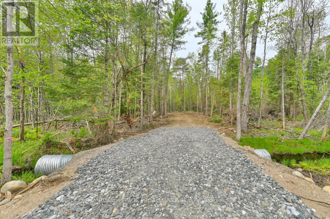 












1031 ROAD 506

,
Frontenac (Frontenac North),







Ontario
K0H1K0

