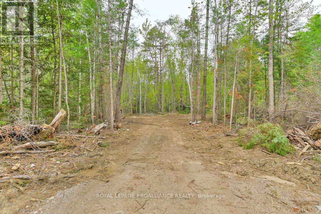 












1031 ROAD 506

,
Frontenac (Frontenac North),







Ontario
K0H1K0

