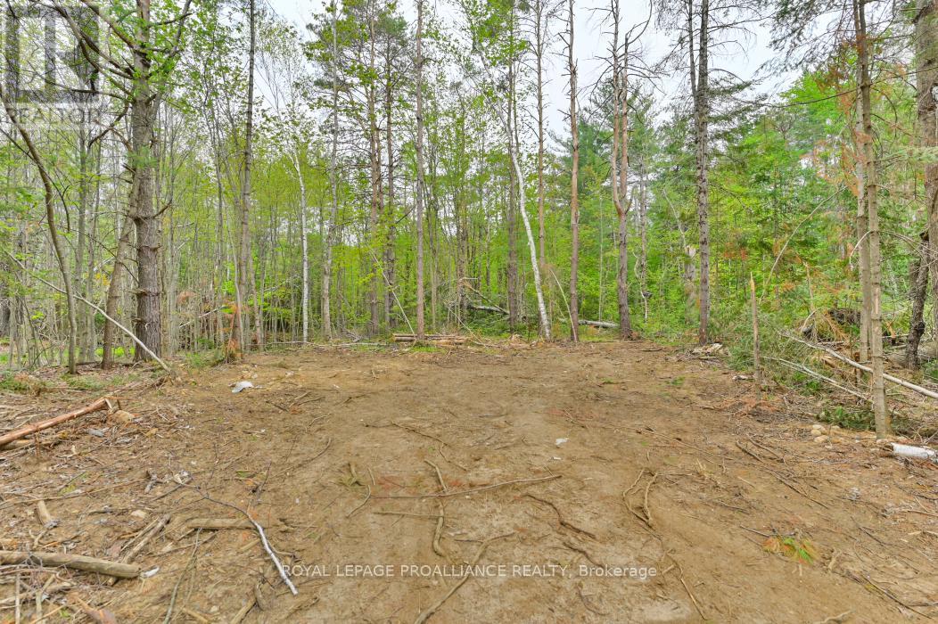 












1031 ROAD 506

,
Frontenac (Frontenac North),







Ontario
K0H1K0

