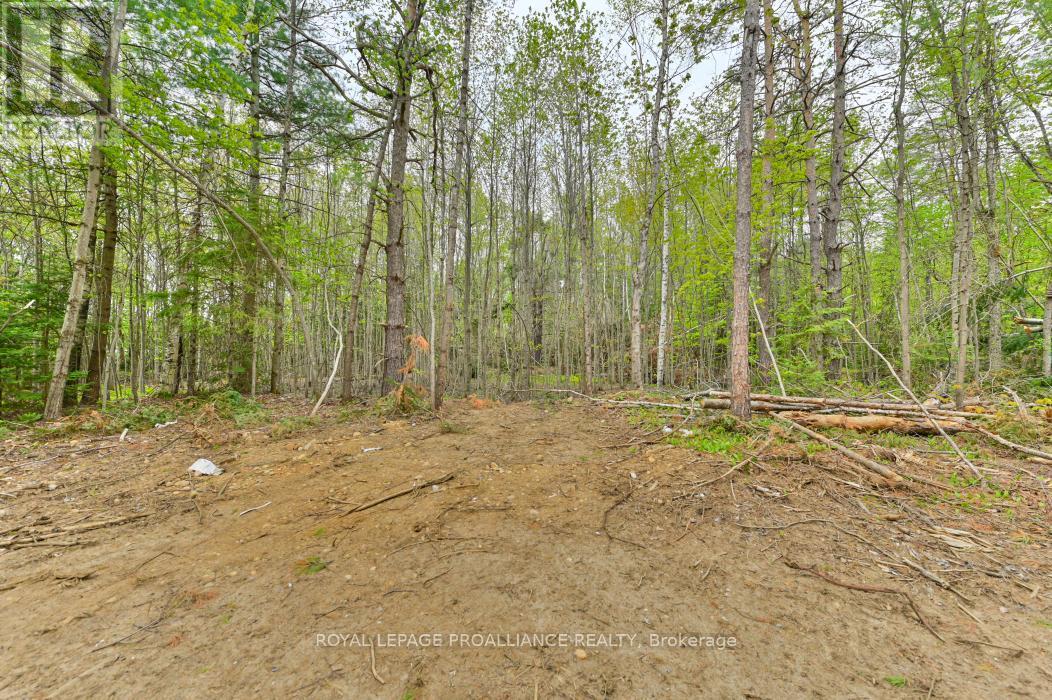 












1031 ROAD 506

,
Frontenac (Frontenac North),







Ontario
K0H1K0

