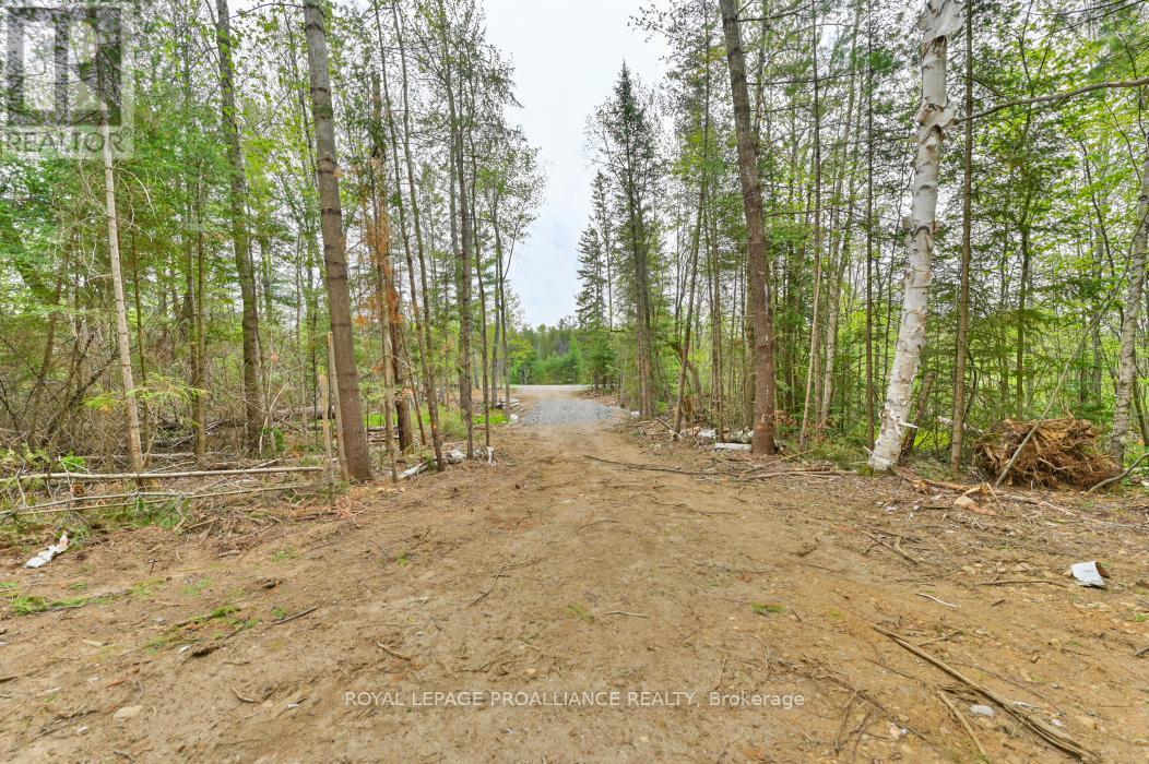












1031 ROAD 506

,
Frontenac (Frontenac North),







Ontario
K0H1K0


