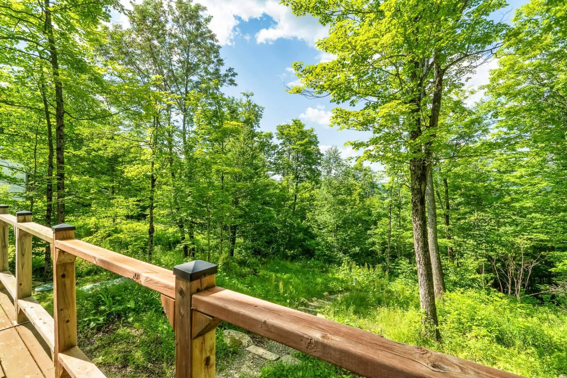 









93


Ch. Nancy

,
Notre-Dame-des-Bois,




QC
J0B2E0

