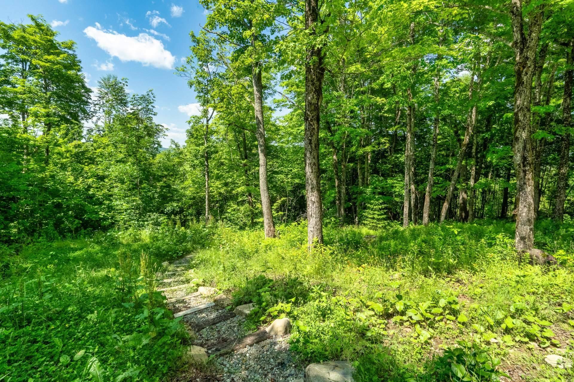 









93


Ch. Nancy

,
Notre-Dame-des-Bois,




QC
J0B2E0

