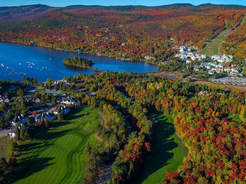 









160


Ch. du Curé-Deslauriers

, 441,
Mont-Tremblant,




QC
J8E1C9


