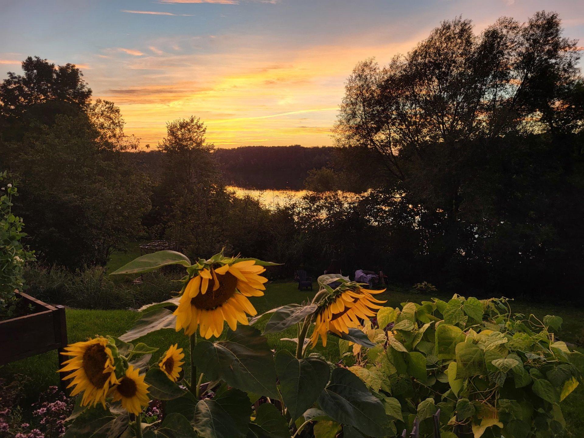 









869


Prom. du Lac

,
Cowansville,




QC
J2K3X6

