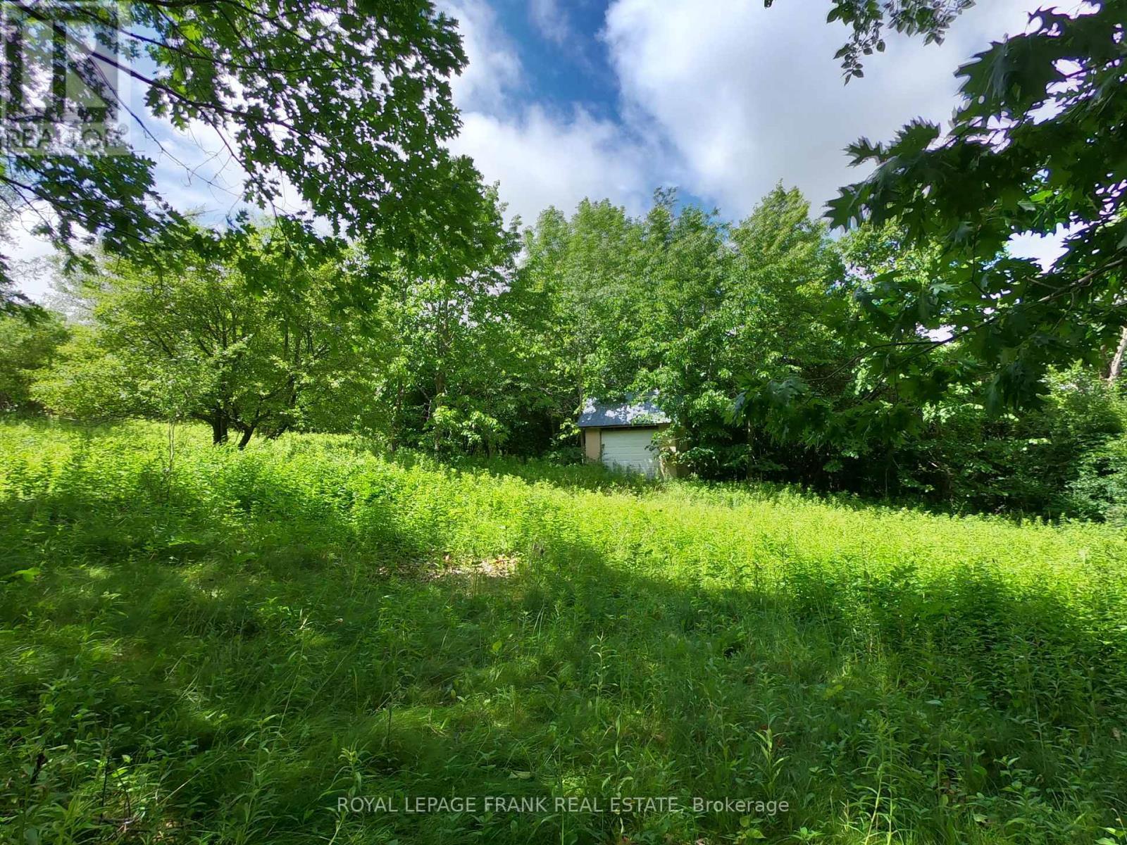 












110 COW ISLAND

,
Otonabee-South Monaghan,







Ontario
K0K1B0

