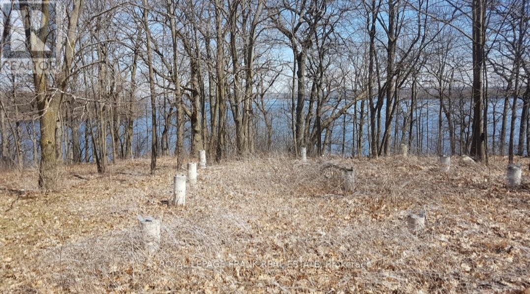 












110 COW ISLAND

,
Otonabee-South Monaghan,







Ontario
K0K1B0

