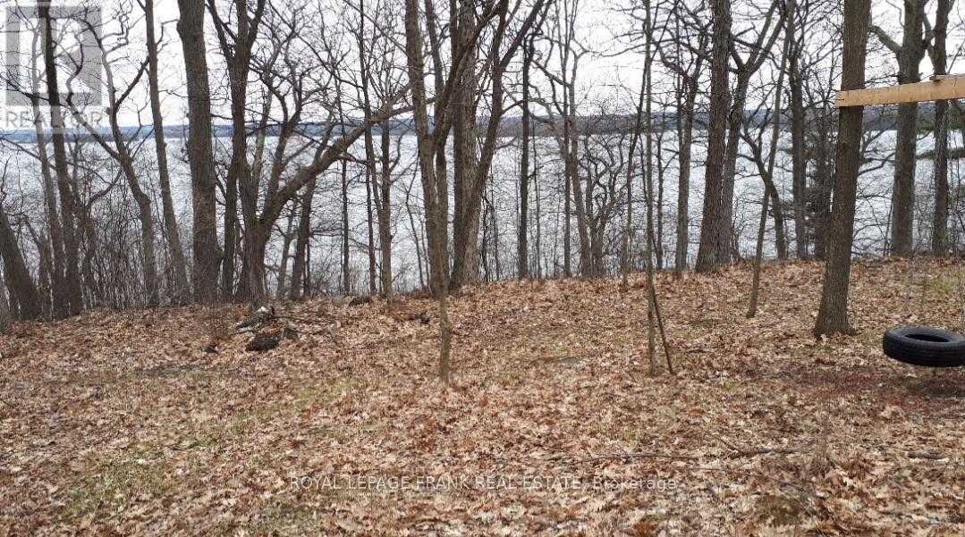 












110 COW ISLAND

,
Otonabee-South Monaghan,







Ontario
K0K1B0

