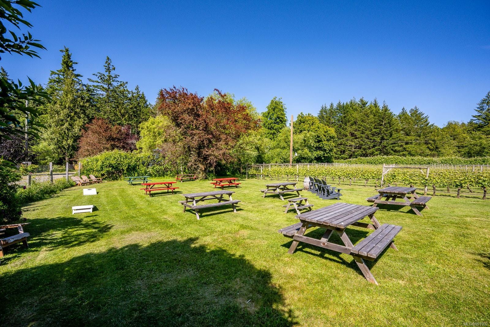 









1885


Central

Rd,
Hornby Island,




BC
V0R 1Z0

