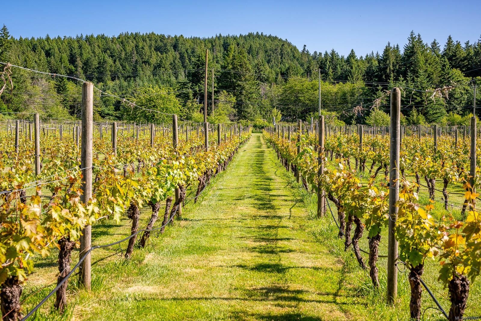 









1885


Central

Rd,
Hornby Island,




BC
V0R 1Z0

