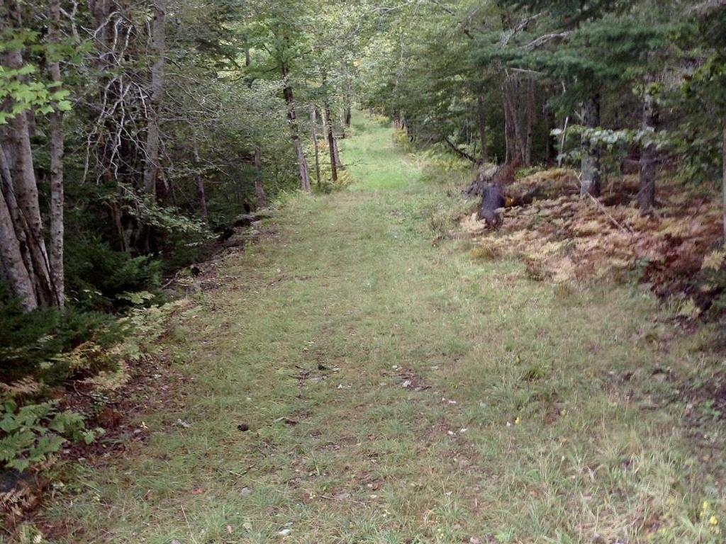 












255 Virginia Road

,
Virginia East,




NS
B0S 1G0

