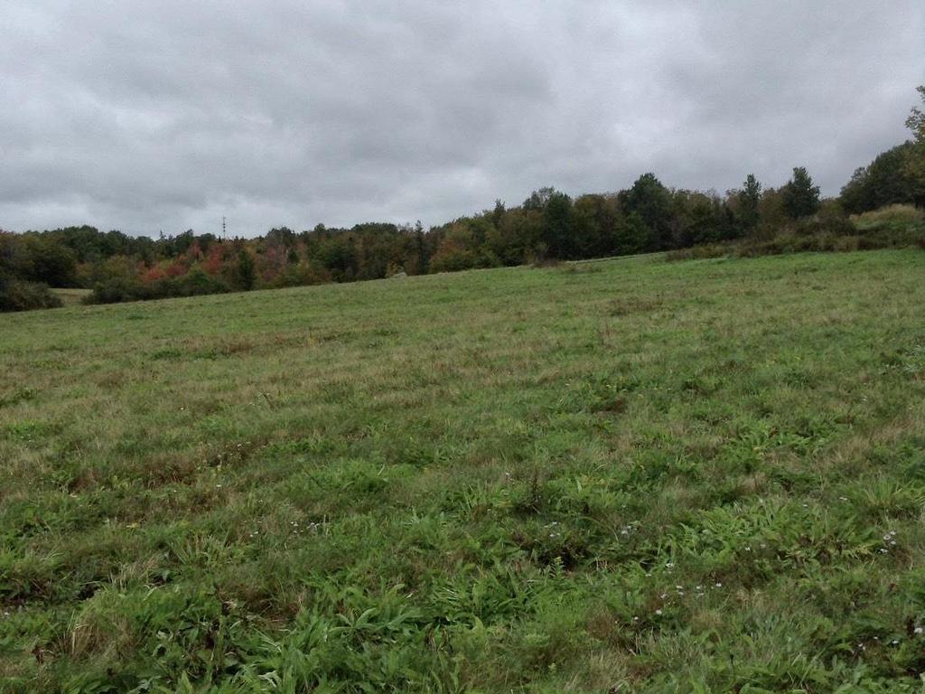 












255 Virginia Road

,
Virginia East,




NS
B0S 1G0

