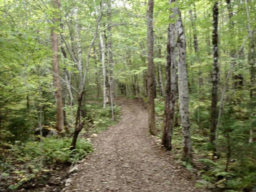












255 Virginia Road

,
Virginia East,




NS
B0S 1G0

