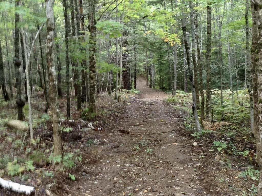 












255 Virginia Road

,
Virginia East,




NS
B0S 1G0

