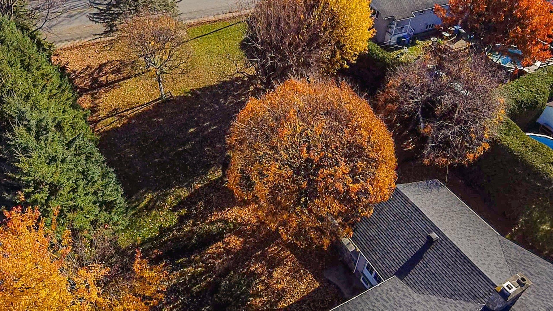 









1055


127e Rue

,
Shawinigan,




QC
G9P3Z4

