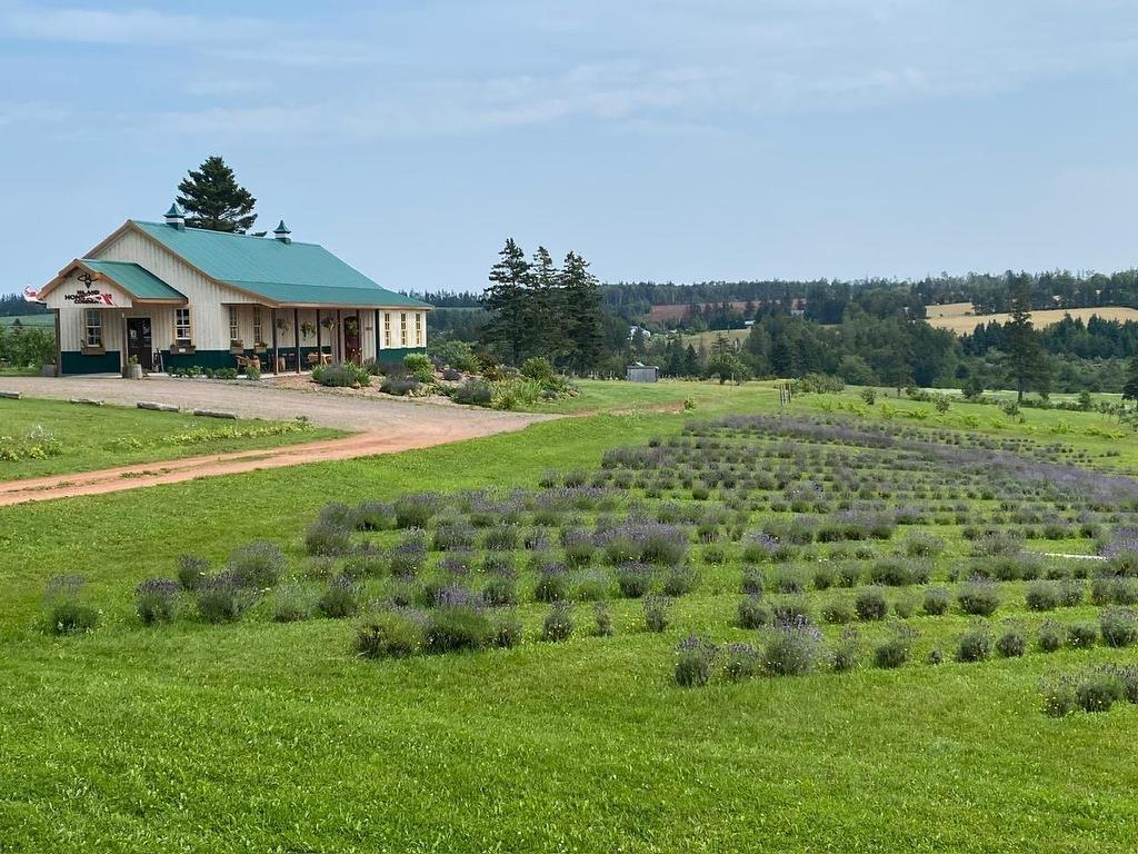 












820 Millboro Road

,
Wheatley River,




PE
C0A 1N0

