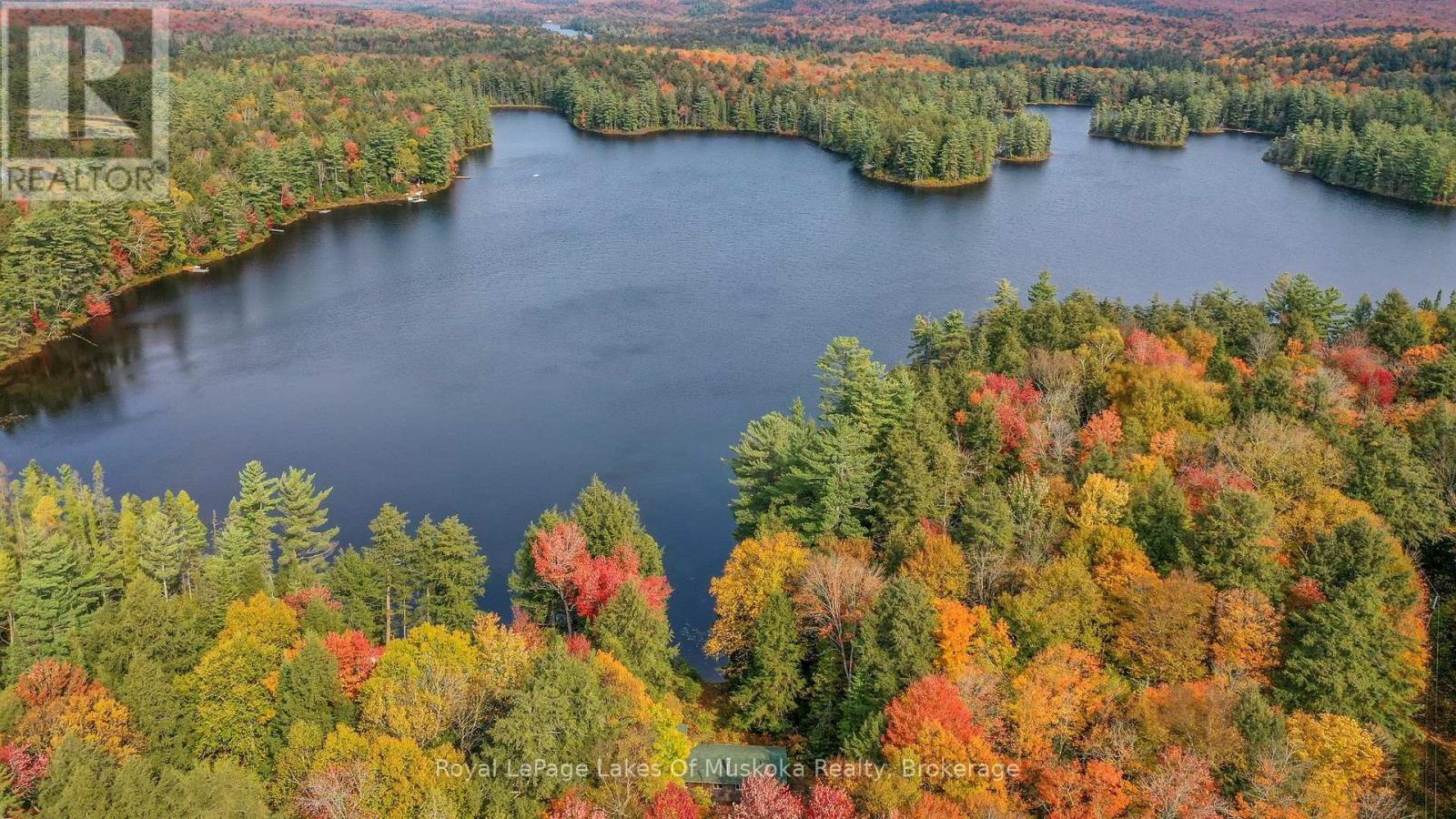 












1086 SOUTH TOAD LAKE ROAD

,
Lake of Bays (Finlayson),




Ontario
P1H2J6

