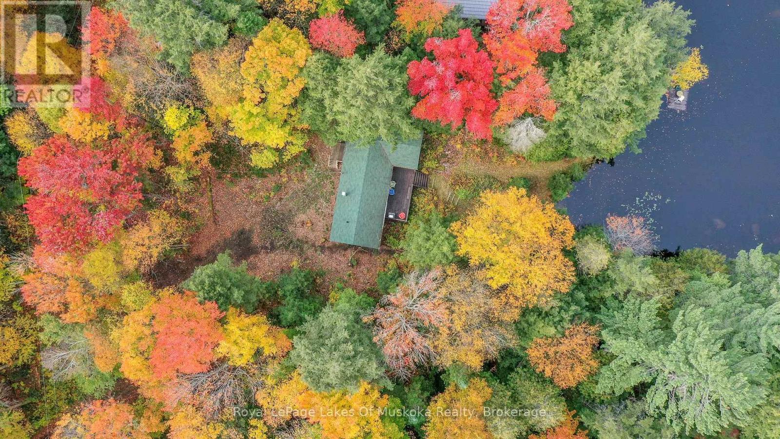 












1086 SOUTH TOAD LAKE ROAD

,
Lake of Bays (Finlayson),




Ontario
P1H2J6

