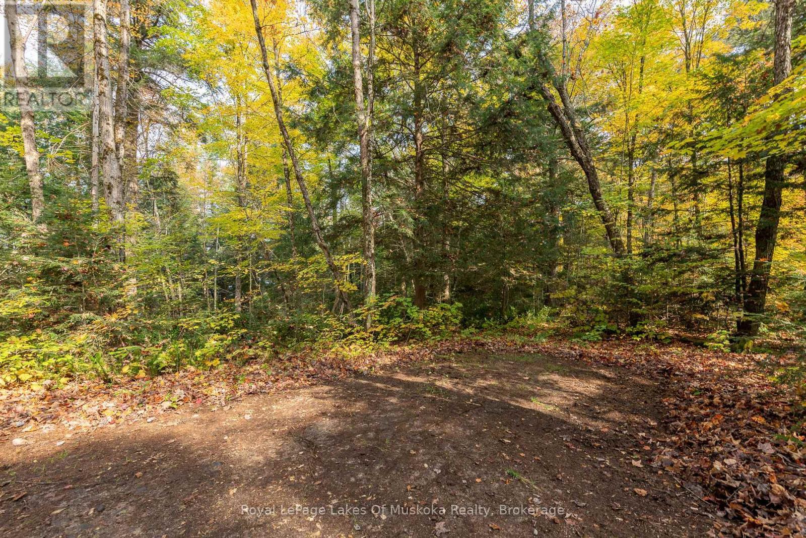












1086 SOUTH TOAD LAKE ROAD

,
Lake of Bays (Finlayson),




Ontario
P1H2J6

