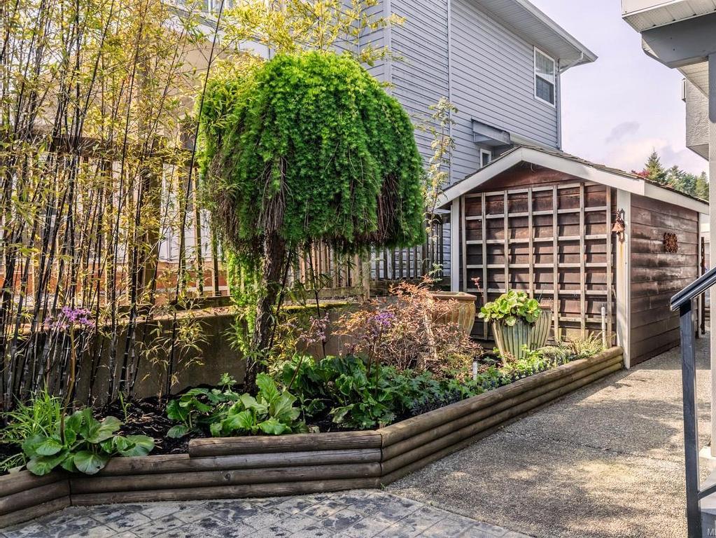 









6413


Lasalle

Rd,
Nanaimo,




BC
V9V 1N6

