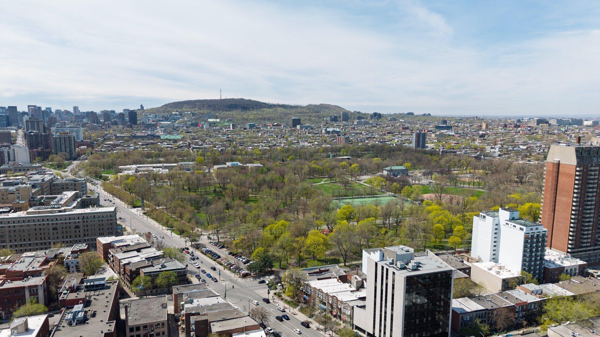









1973


Rue Sherbrooke E.

,
Montréal (Le Plateau-Mont-Royal),




QC
H2K1B8

